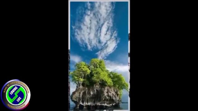 DAILY INSPIRATIONAL VIDEO (26 January 2024) - loving nature