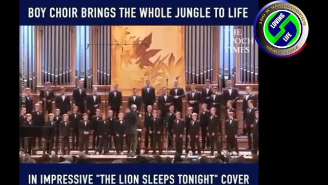 DAILY INSPIRATIONAL VIDEO (7 November 2022) - The Lion Sleeps Tonight