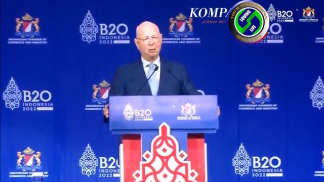 Klaus Schwab pushes Public Private Partnerships at the G20 in Indonesia