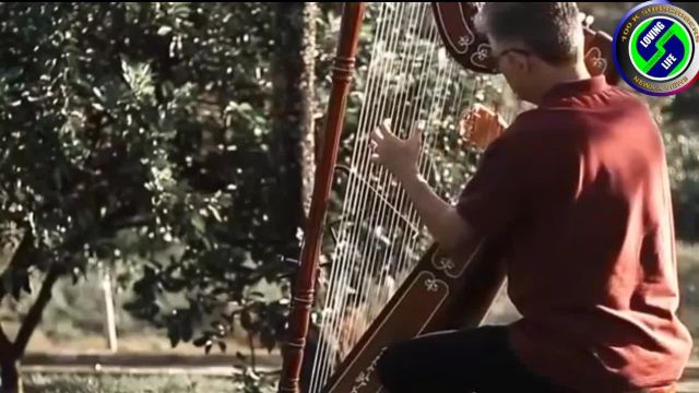 DAILY INSPIRATIONAL VIDEO (16 January 2023) - Harp Music