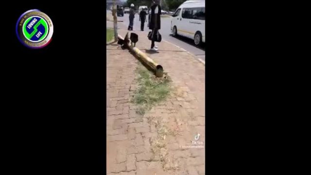 An African lady reflects on how the ANC are destroying South Africa.