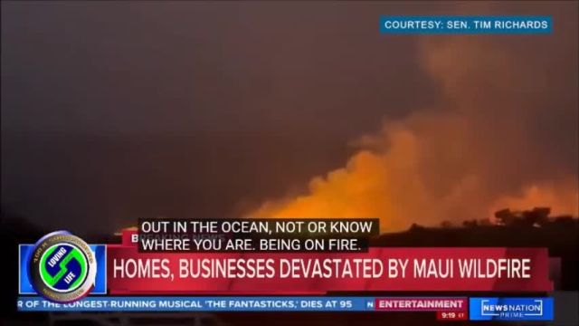 What caused the devastating fire in the small town on the Hawaiian island of Maui - questions are being asked