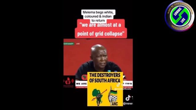 Meet the epitome of stupidity - Julius Malema - who is now calling for skilled South Africans to return home from overseas